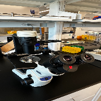 Olympus CKX53 Inverted Microscope image 1